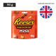 Reese's Minis Unwrapped Peanut Butter Cups Pouch 90g